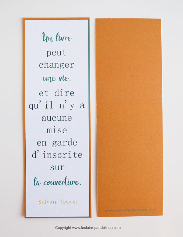 Marque Page Un livre peut changer une vie - Citation de Sylvain